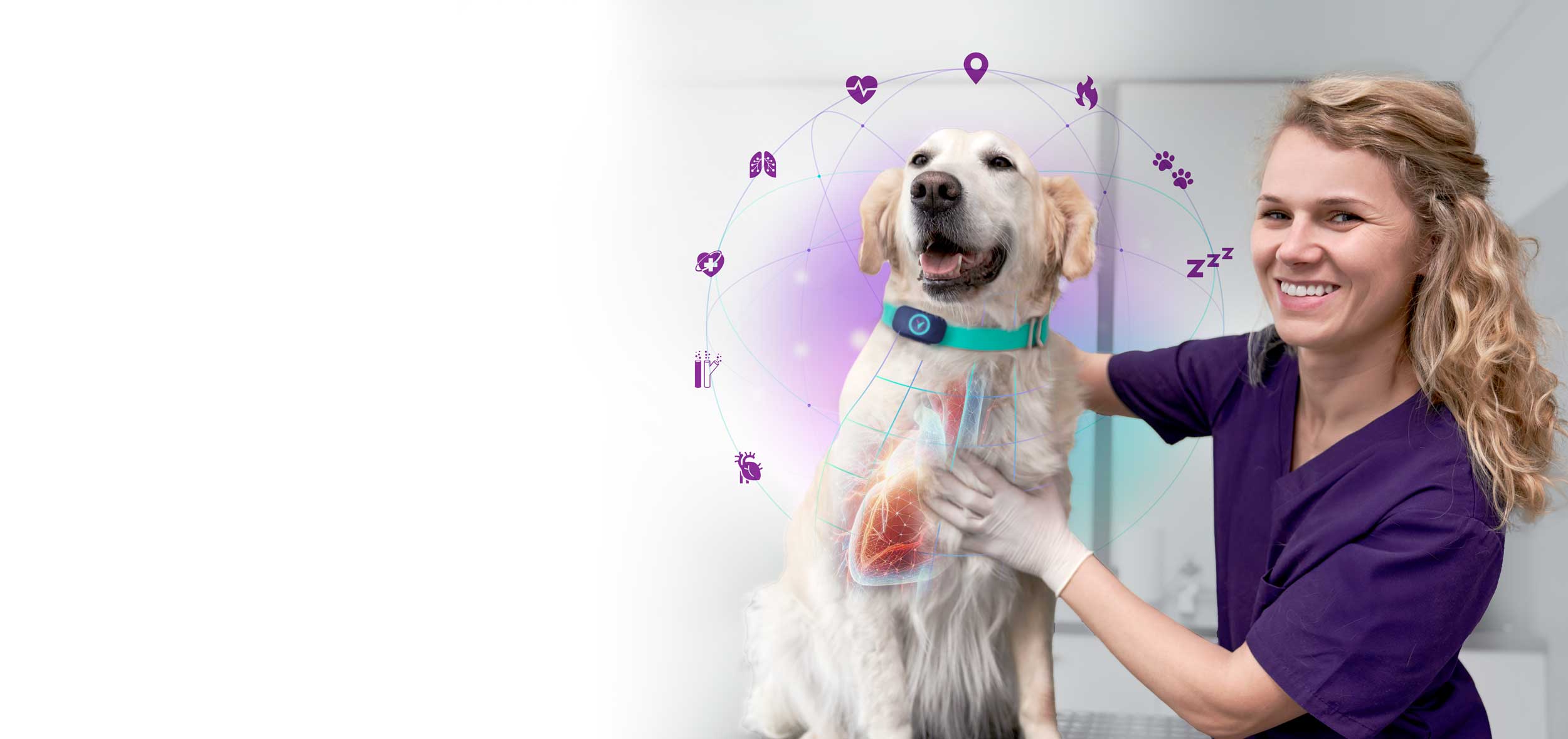 Voyce veterinary health diagnostic sensor metrics.