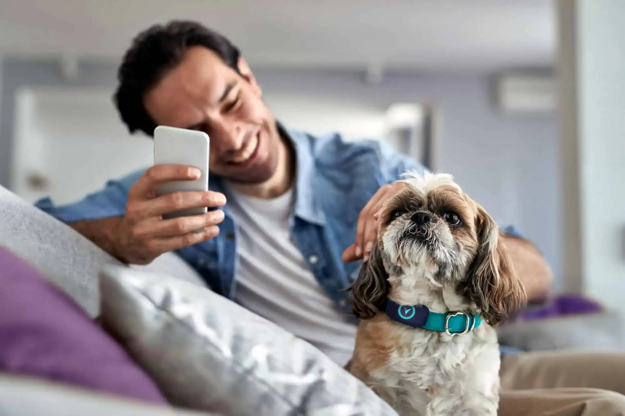 A pet owner using the Voyce mobile app to monitor and report their pet's health diagnostics from the comfort of their own home.