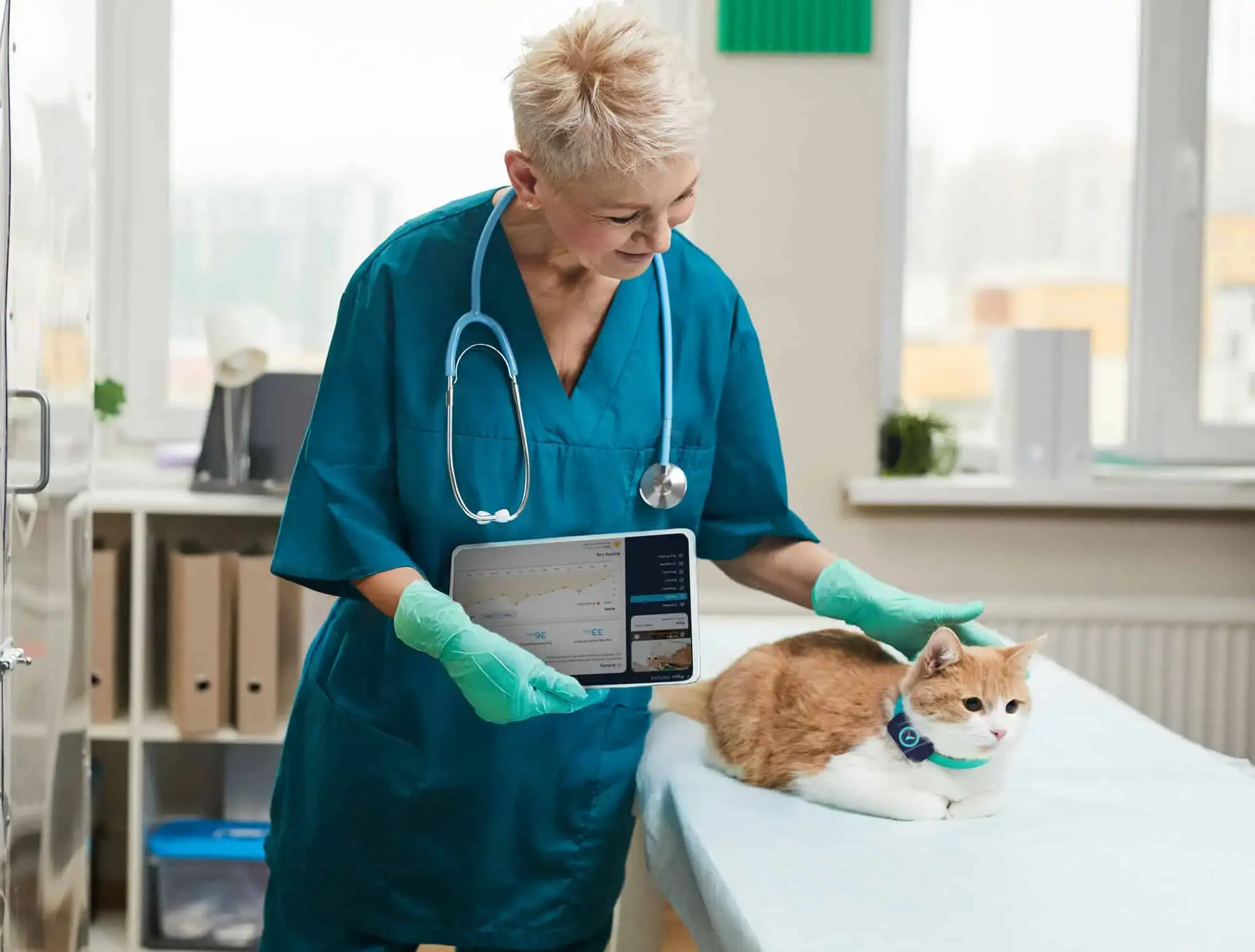 Veterinarian triaging a feline patient wearing the noninvasive Voyce veterinary health monitoring device